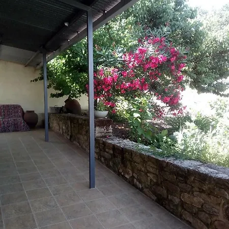 Mimbrero * Aldeadávila de la Ribera