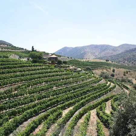 Dom wakacyjny Mimbrero *