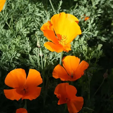 Mimbrero Casa vacanze Aldeadávila de la Ribera