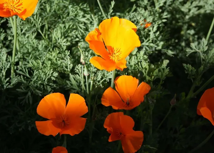 Mimbrero 펜션 Aldeadávila de la Ribera